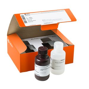 Amersham™ ECL Prime Western Blotting Detection Reagent