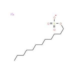 SDS (20% Solution)-2