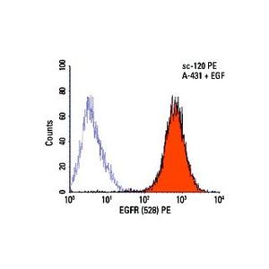 EGFR (528) Alexa Fluor® 790