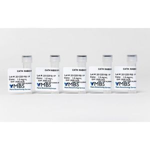 ANTI-COXIELLA BURNETII MOUSE MONOCLONAL