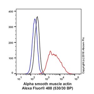 Anti-alpha smooth muscle Actin antibody [1A4]