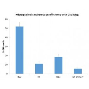 Glial-Mag -DNA Transfection Reagent