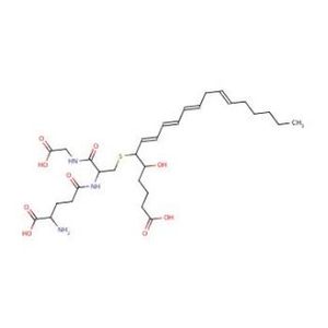 LTC4 (Leukotriene C4)-2