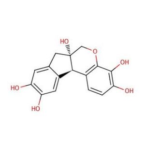 Gill's Hematoxylin Solution, No. 2