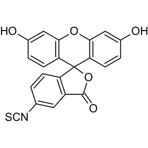 Anti-PCNA antibody [PC10](AB29)