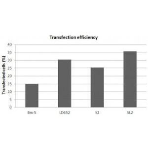 FlyFectIN -DNA Transfection Reagent