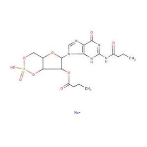 Dibutyryl-cGMP