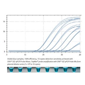 ORA™ SEE qPCR Probe ROX H Mix