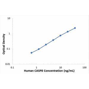 Human Caspase 8 ELISA Kit (CASP8)