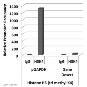 Anti-Histone H3 (tri methyl K4) antibody - ChIP Grade