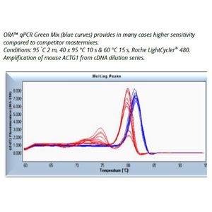 ORA™ qPCR Green ROX H Mix