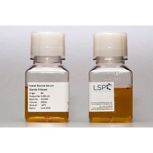 Foetal Bovine Serum – Gamma Irradiated – Brazil Origin