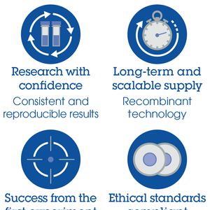 Serotonin ELISA Kit(AB133053)