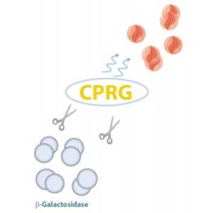 CPRG Kit -for Transfection Assay
