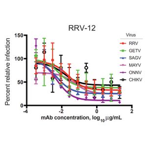 MagicQuant? Pseudotyped HIV-1 Molecular Control