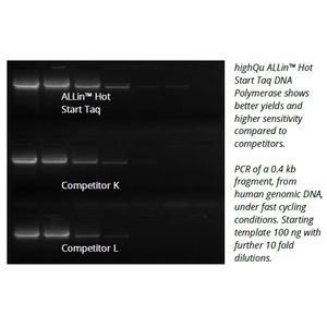 ALLin™ Hot Start Taq Polymerase