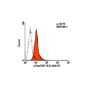 c-Fms/CSF-1R (3-4A4) Alexa Fluor® 594