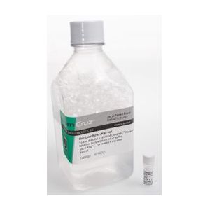 ChIP Lysis Buffer High Salt