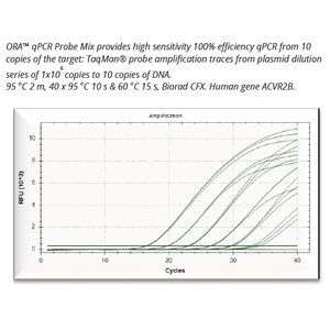 ORA™ qPCR Probe Mix