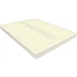 Magnetic Plates -for Transfection Assay