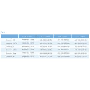 ChromCore Silica preparative columns