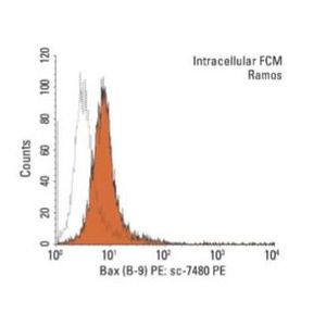 normal mouse IgG2b-PE