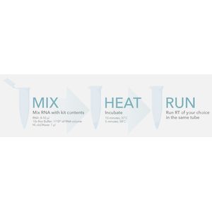 Heat&Run® gDNA removal kit