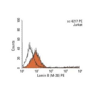 mouse anti-goat IgG-PE