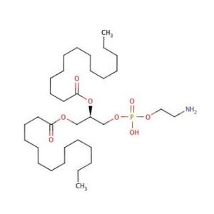1,2-Dimyristoyl-sn-glycero-3-phosphoethanolamine-2
