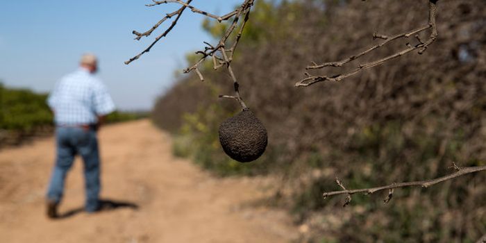 California Drought Continues