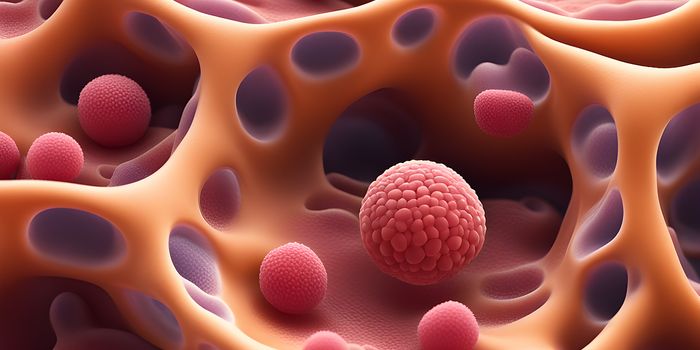 New Mechanisms Discovered that Drive Immune Cell Function