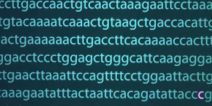 A Look Back at the Human Genome Project