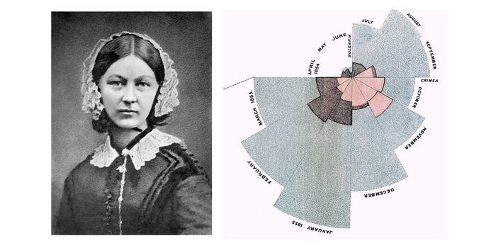 Florence Nightingale: Nursing Pioneer, and Data Scientist?