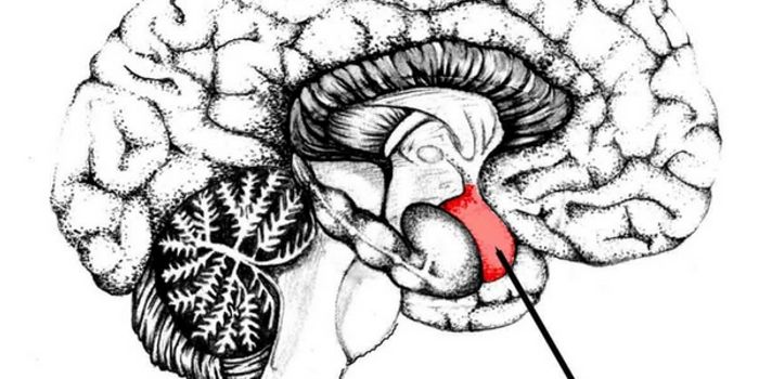 Training the Brain to Reduce Stress