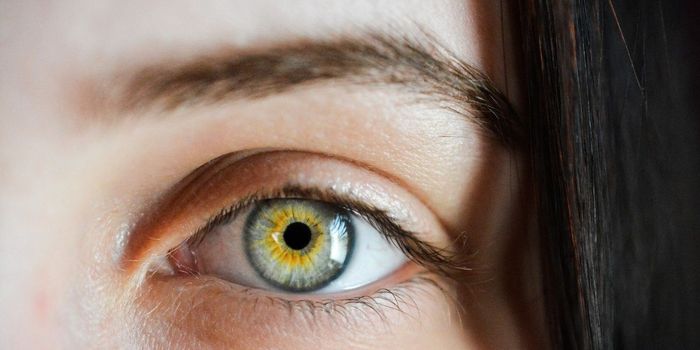 Why Some Astronauts Get Blurry Vision After Spaceflight