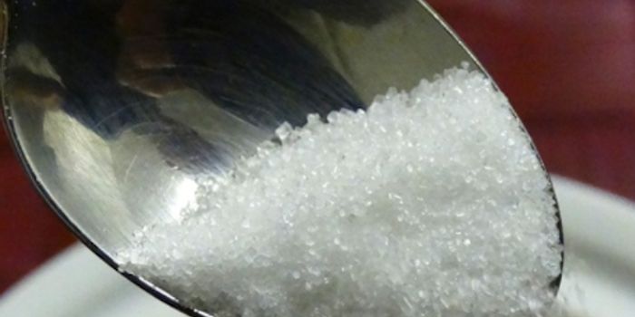 Artificial Sweeteners and Obesity are Connected