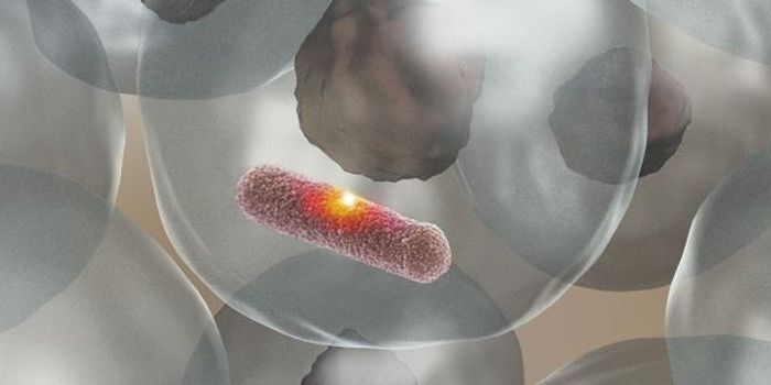 Sniper Precision in the Immune Response to Infection