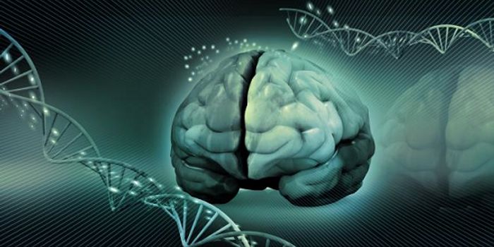 Bringing ALS to Life: What You Need to Know