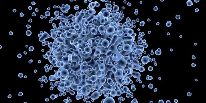 Gene Therapy Shows Promise for Neuropathic Pain