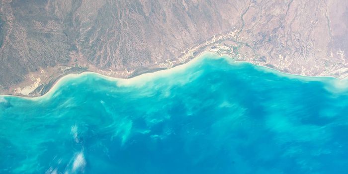 New Mobile App Monitors Harmful Algal Blooms