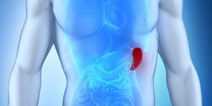 Rare Tropical Disease Puts Transplant Patients At Risk