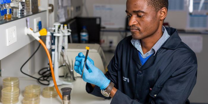 Municipal Wastewater Could be a Source for new Antimicrobials