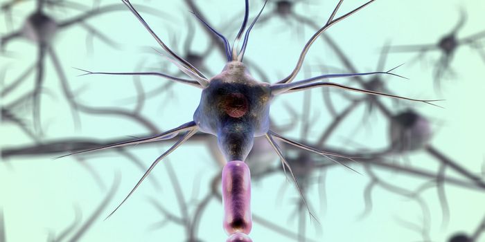 How the Lactate Receptor is Related to Brain Injury in Newborns