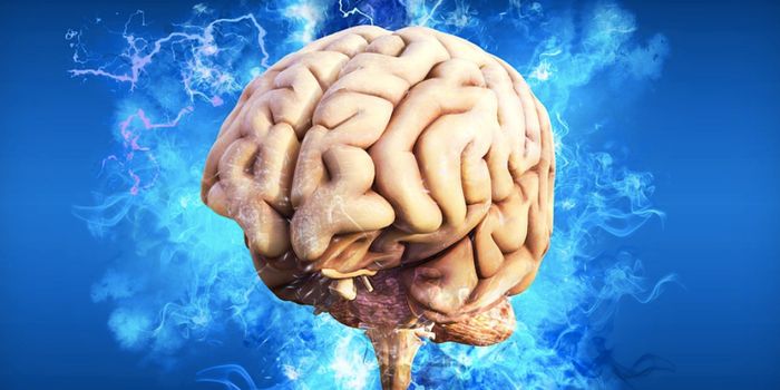 Striking Similarities Between Aging & Schizophrenia are Revealed