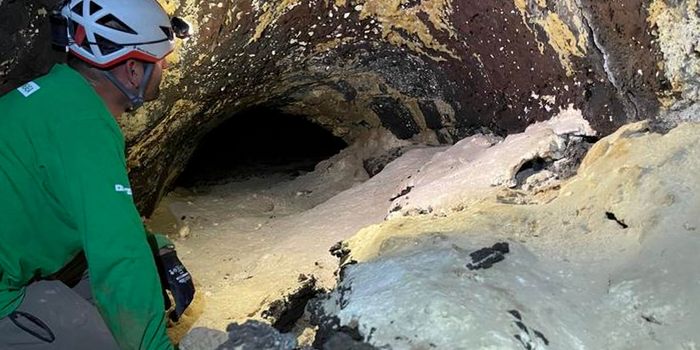 Lava Tubes as Mars Analogs: Uncovering Biosignatures in Earth's Caves