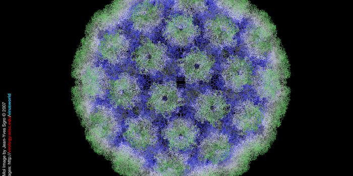 Novel PD-L1/TGF-ß Fusion Protein for HPV-Associated Cancers Enters Phase II Clinical Trial