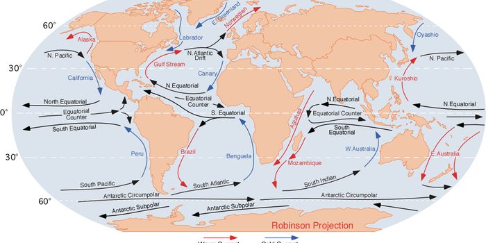 Atlantic Ocean Current Will Collapse in 40 Years, Scientists Predict