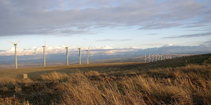 Global energy consumption in 2050: some good news