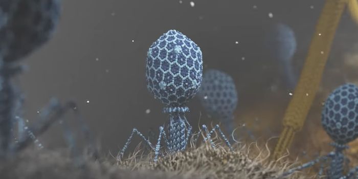 Giant Viruses Blur the Line Between Life and Non-Life