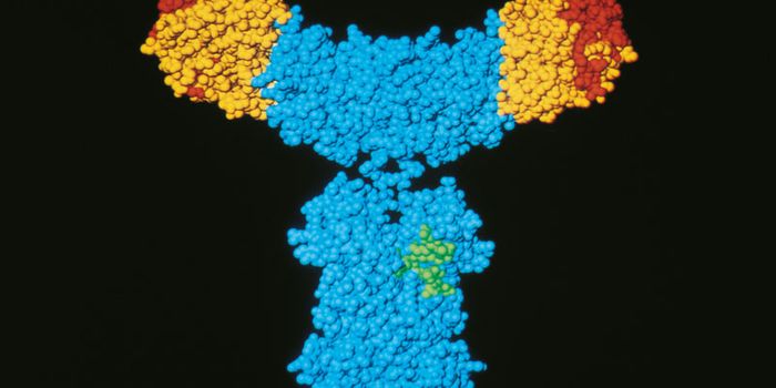 Small Molecule May Help Reduce Cancer in At-Risk Population